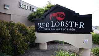 Casual Dining Restaurants, Ranked